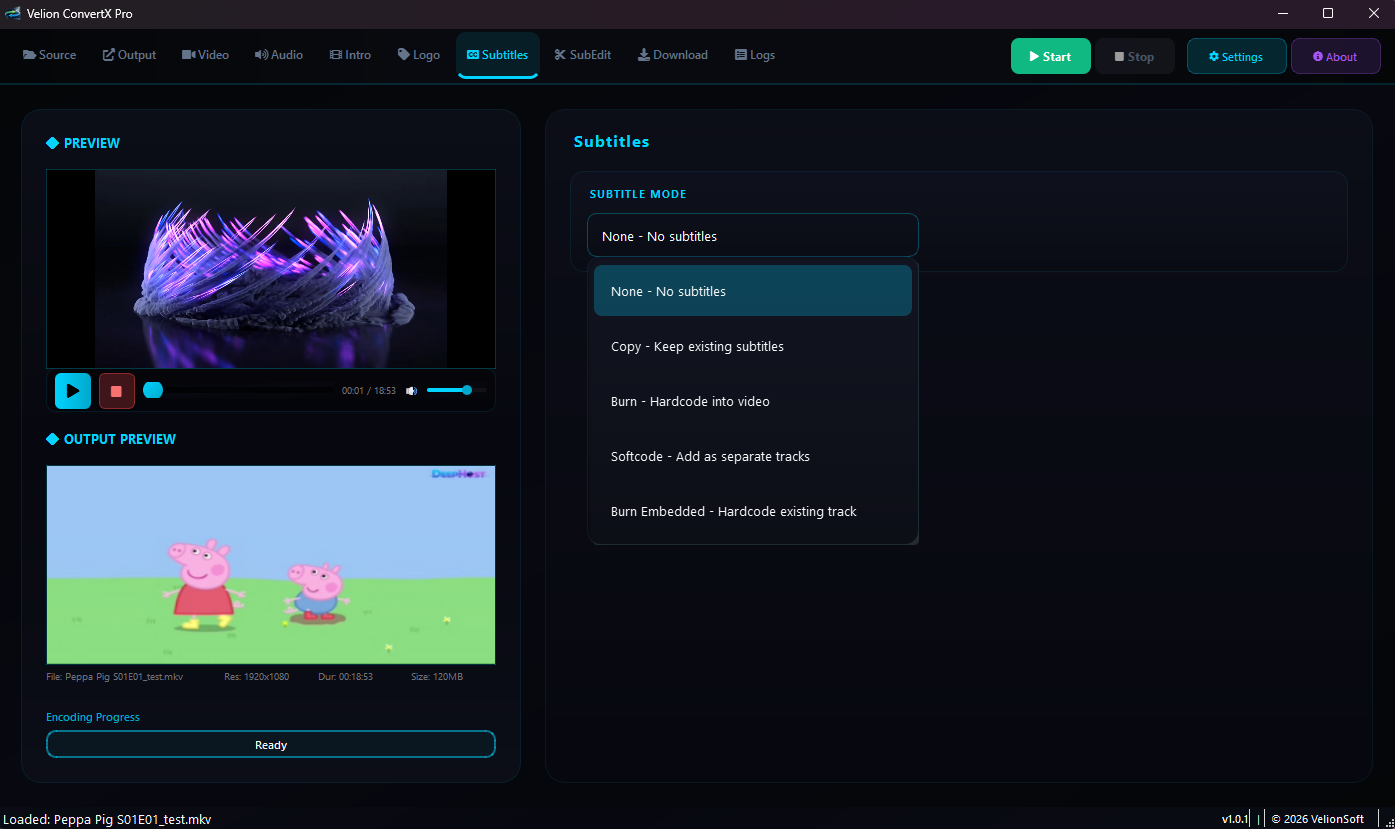 ConvertX Pro - Settings